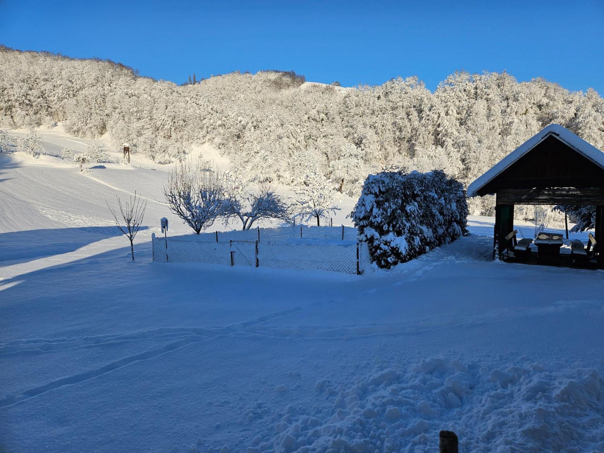 Francek House Podcetrtek Villa Buce Eksteriør bilde